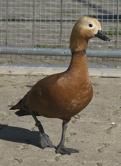 一方面