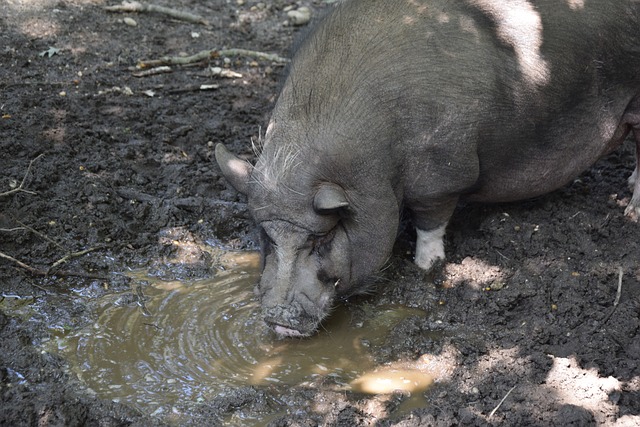 展示了优秀 展示了优秀