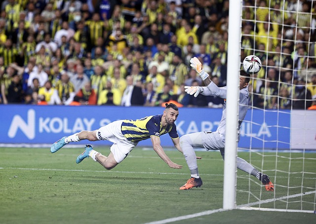 再次展现了 再次展现了