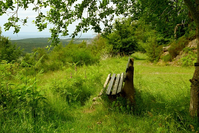 是一种在面 是一种在面