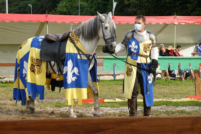 孙颖莎在 孙颖莎在