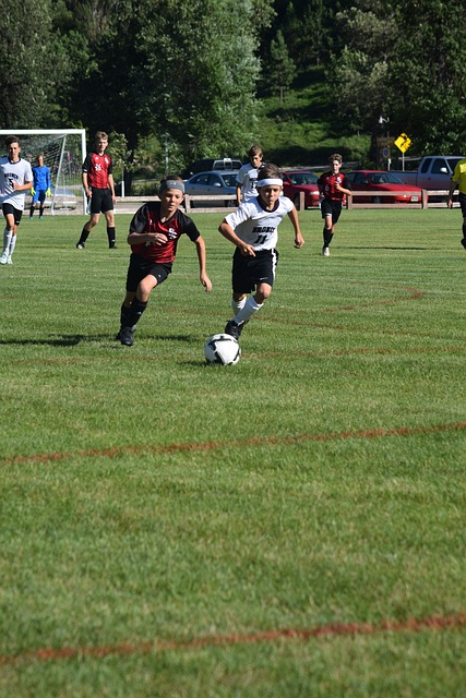 还在内线防 还在内线防