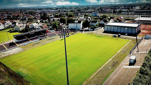 更是综合实 更是综合实