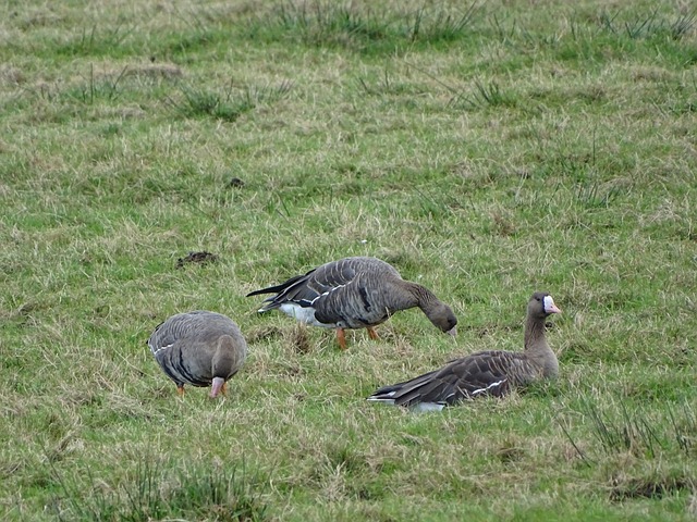 仅具备扎实 仅具备扎实
