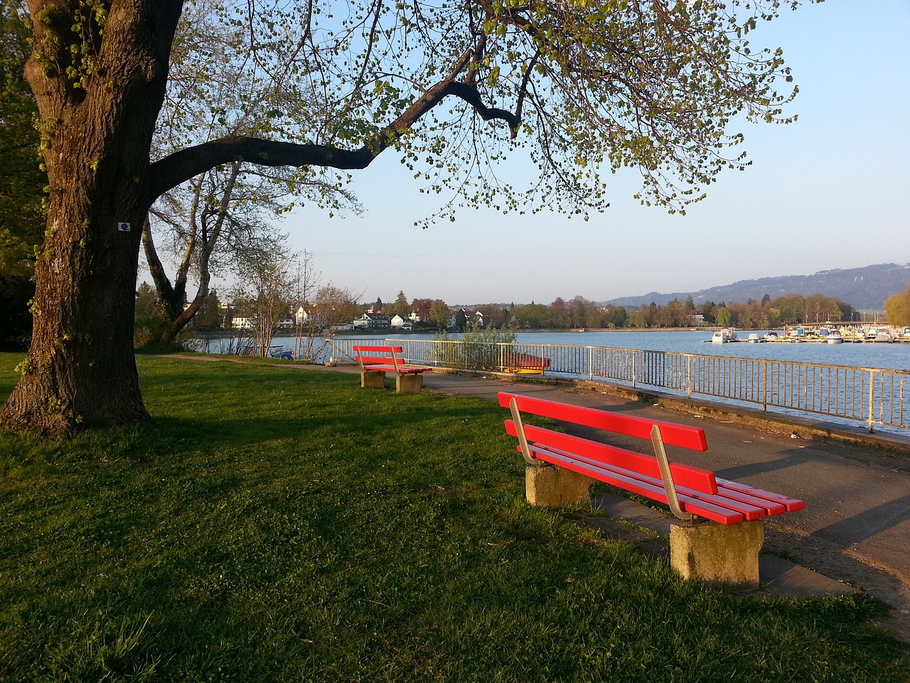 仅打破了僵 仅打破了僵