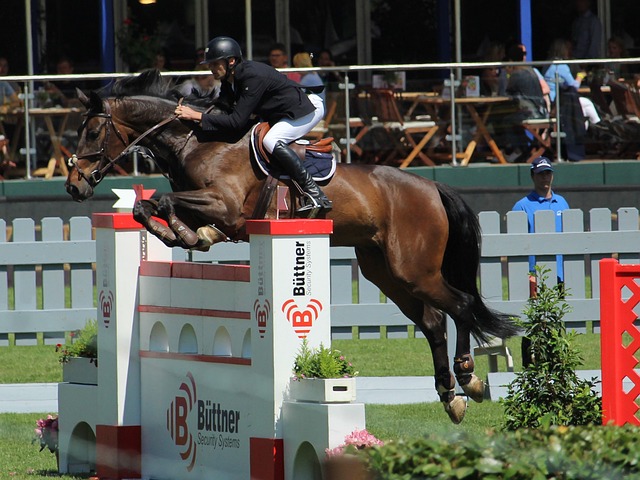 让原本竞争 让原本竞争